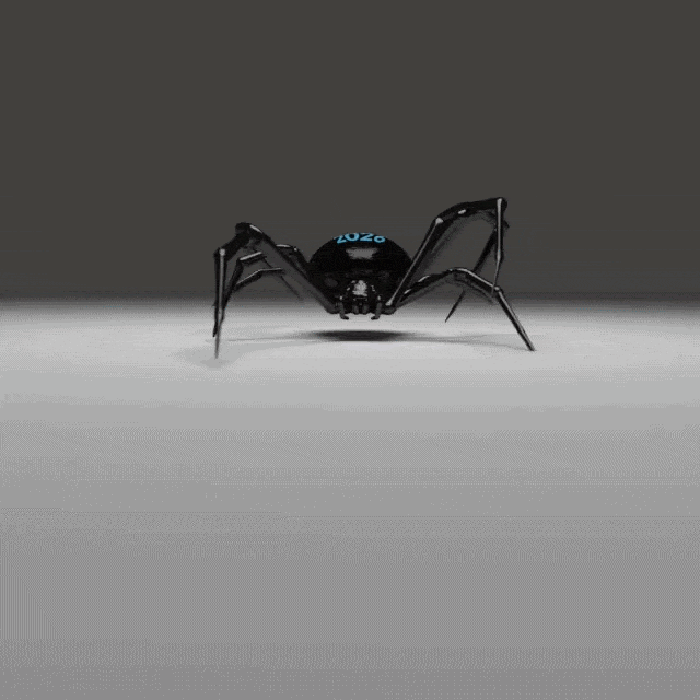 Spider animation